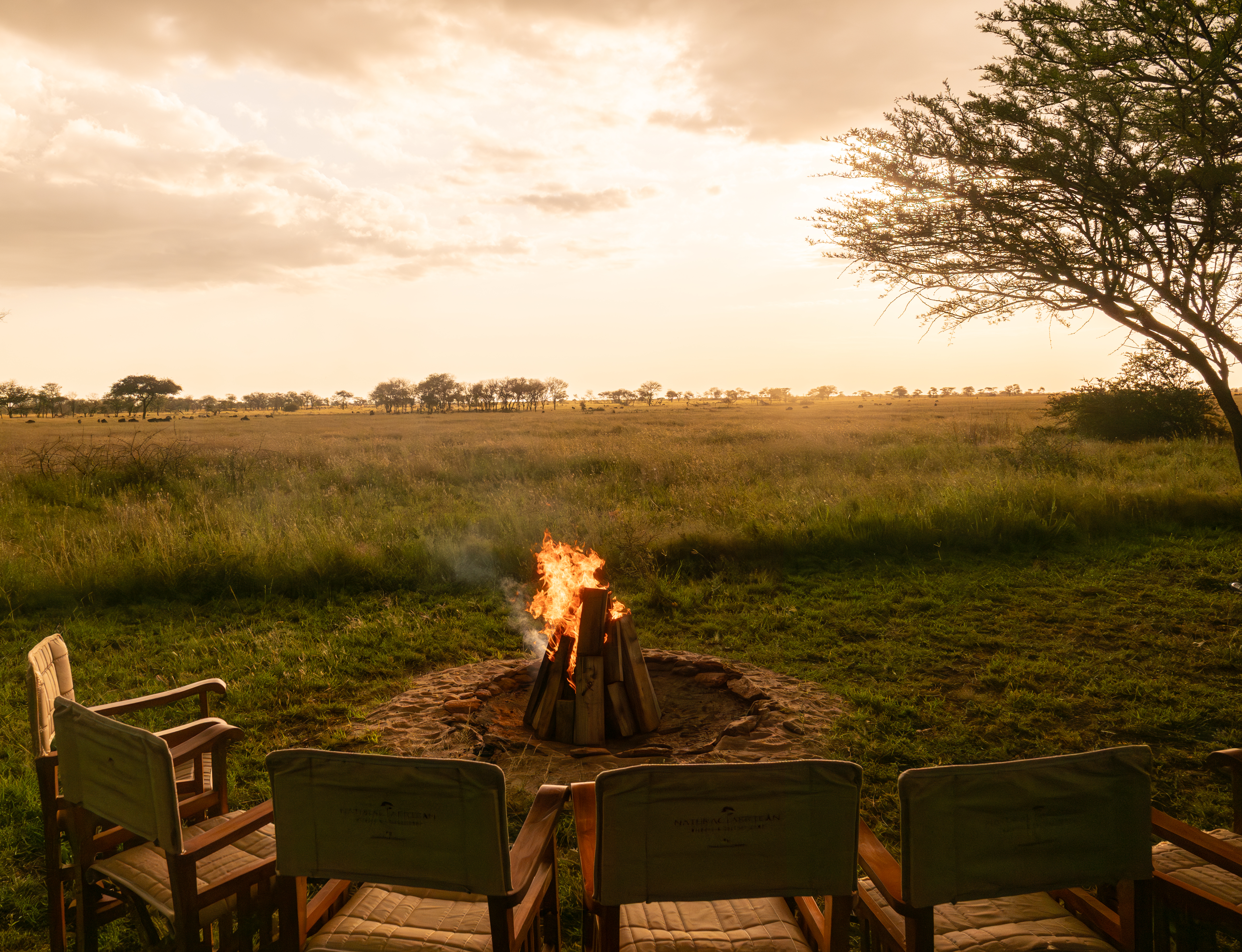 Campfire at sunset overlooking the Serengeti plains