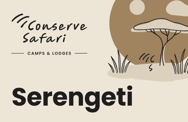 Conserve Safari Serengeti photo library