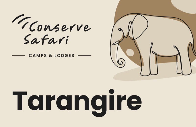 Conserve Safari Tarangire photo library