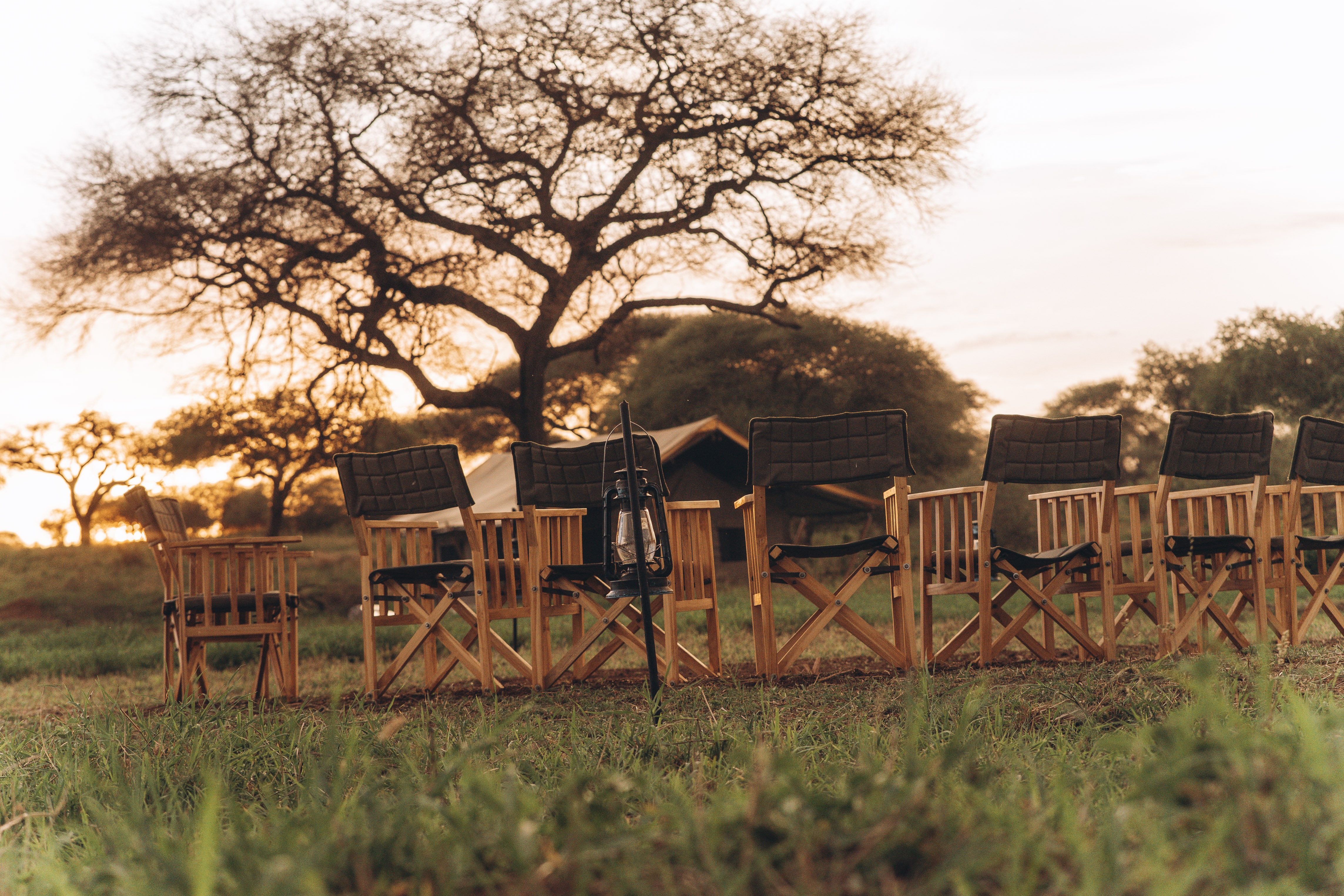 Sundowner chairs set up in the bush at golden hour at Conserve Safari Tarangire